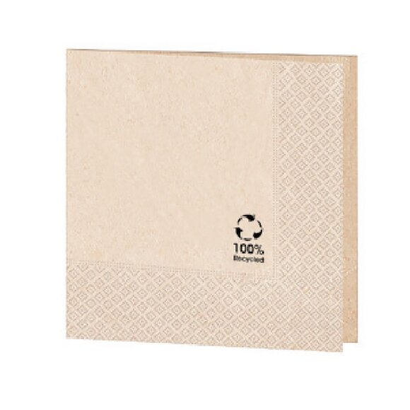 Салфетка бумажная ECO двухслойная, 20*20 см, 100 шт, Garcia de PouИспания, RIC - 81210166