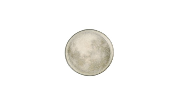 Тарелка с вертикальным бортом d 15,5 см h 2,1 см, Stoneware Selene