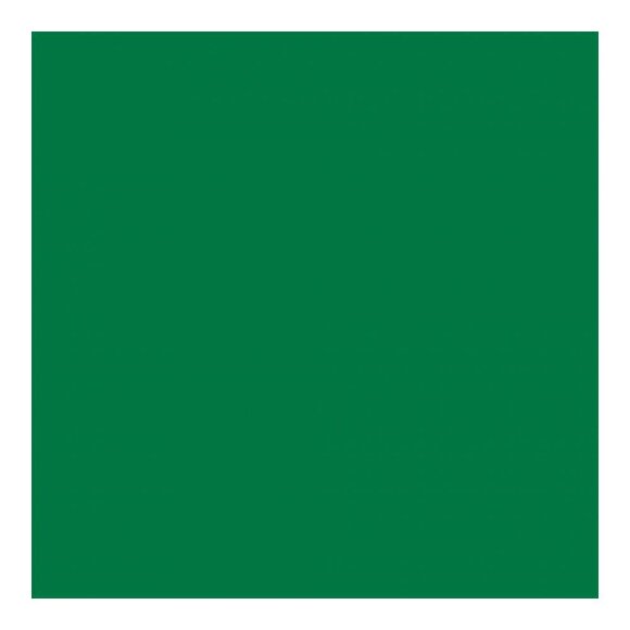 Салфетка бумажная зеленая, 40*40 см, материал Airlaid, 50 шт, Garcia de PouИспания, RIC - 81210341