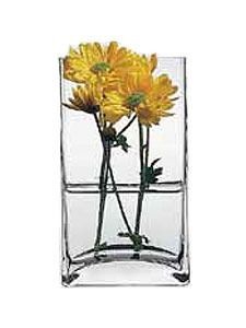 Набор ваз для цветов h=180 мм. d=80 мм Ботаника Б /6/, (6 ШТ в упаковке), MAG - 52742